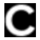 Carta logo