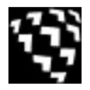 Shield AI logo